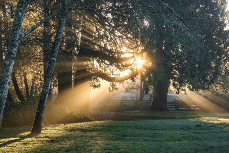 Sunlight.jpg:n aiheuttama viivakoodi haalistunut