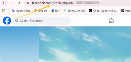 Facebook profiililinkki